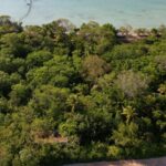 listing image thumbnail with ID 21876