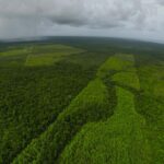 listing image thumbnail with ID 23303