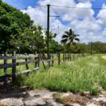 listing image thumbnail with ID 25571