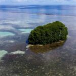 listing image thumbnail with ID 23006