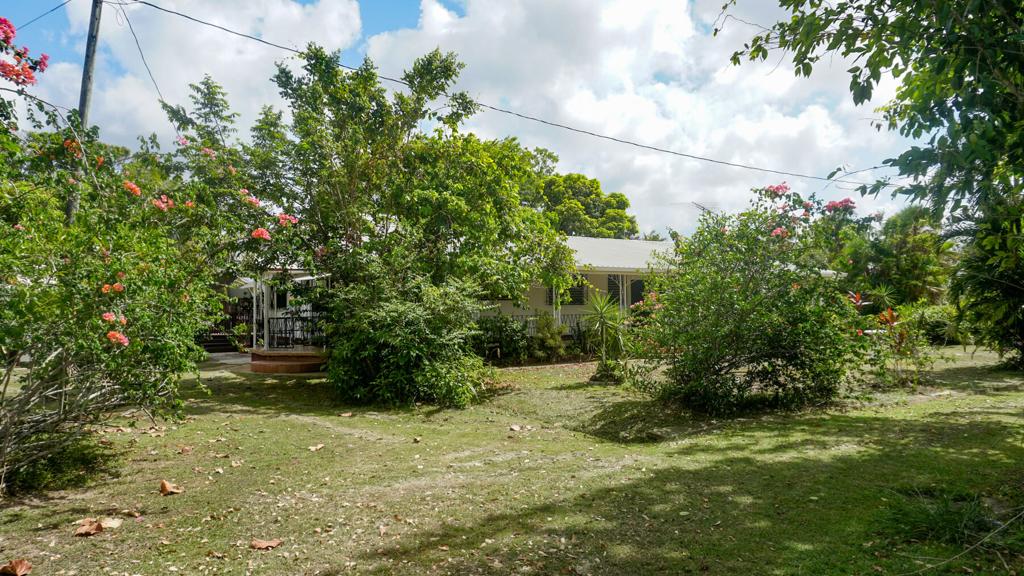 listing image with ID 22334