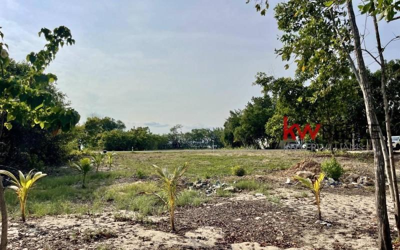 listing image with ID 18469