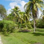 listing image thumbnail with ID 22327