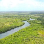 listing image thumbnail with ID 22771