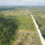 listing image thumbnail with ID 19693