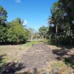 listing image thumbnail with ID 19842