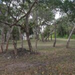 listing image thumbnail with ID 23670