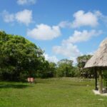 listing image thumbnail with ID 22362