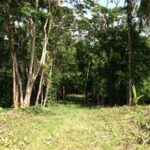 listing image thumbnail with ID 21831