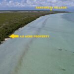 listing image thumbnail with ID 21907