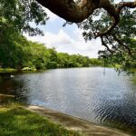 listing image thumbnail with ID 22897