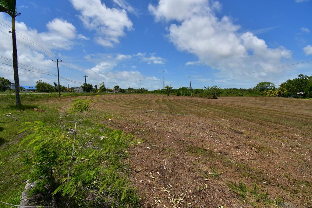 listing image with ID 25423
