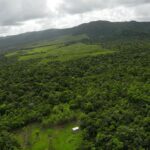 listing image thumbnail with ID 23309