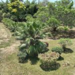 listing image thumbnail with ID 25337