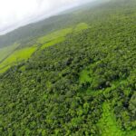 listing image thumbnail with ID 23355