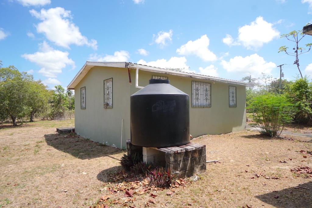 listing image with ID 20789