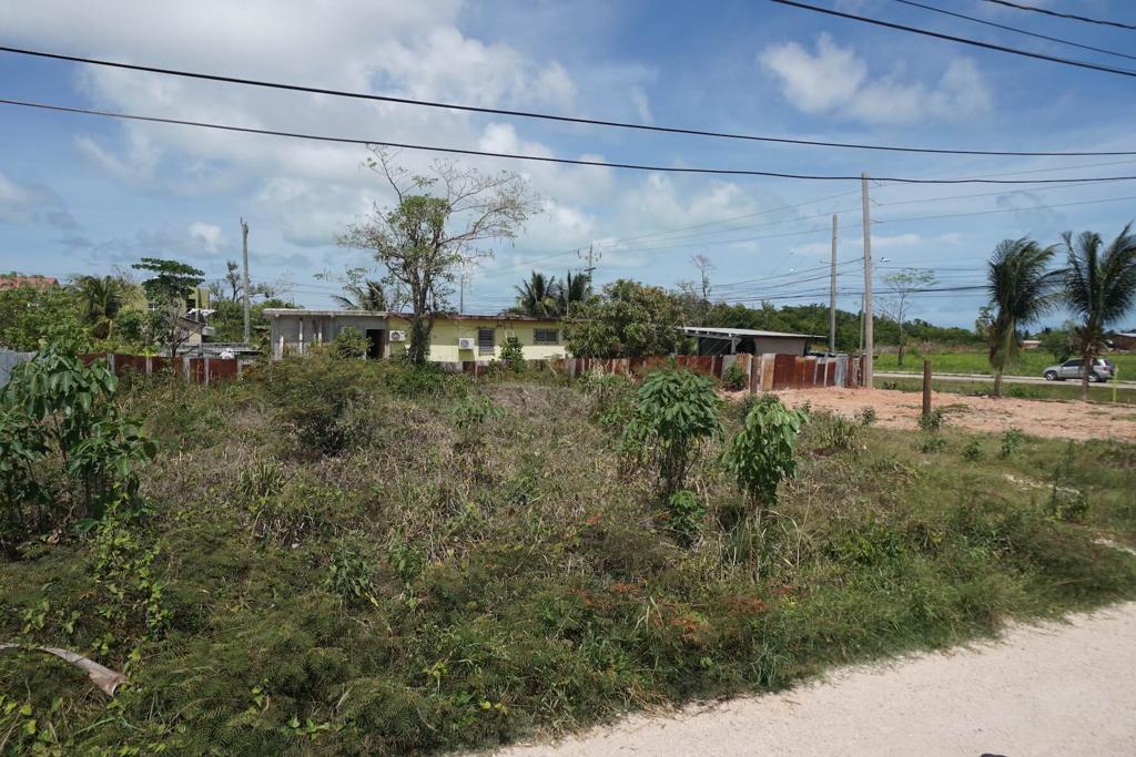 listing image with ID 24605