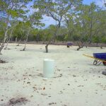 listing image thumbnail with ID 26278