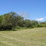 listing image thumbnail with ID 27061