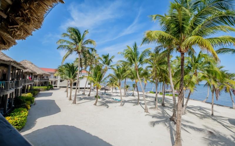 listing image with ID 10379