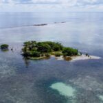 listing image thumbnail with ID 23012