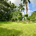 listing image thumbnail with ID 22909