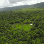 listing image thumbnail with ID 23313