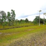 listing image thumbnail with ID 24184