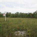 listing image thumbnail with ID 25255