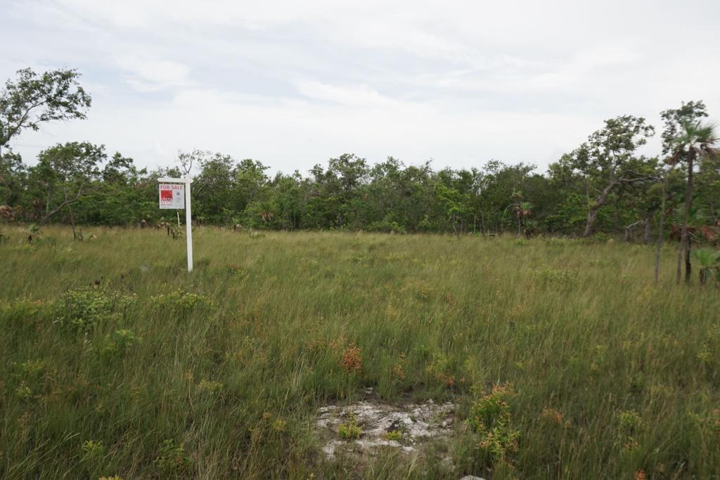 listing image with ID 25255