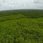 listing image thumbnail with ID 23314