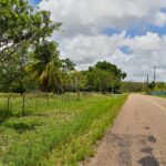 listing image thumbnail with ID 25567