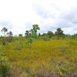 listing image thumbnail with ID 24165