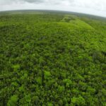 listing image thumbnail with ID 23312