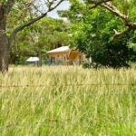 listing image thumbnail with ID 25557