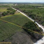 listing image thumbnail with ID 21055