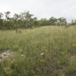 listing image thumbnail with ID 25252