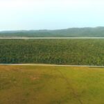 listing image thumbnail with ID 23234