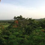 listing image thumbnail with ID 21845