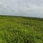 listing image thumbnail with ID 23320