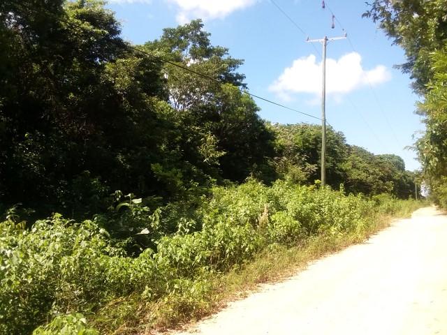 listing image with ID 21983
