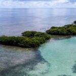 listing image thumbnail with ID 23018