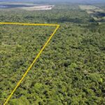 listing image thumbnail with ID 23308