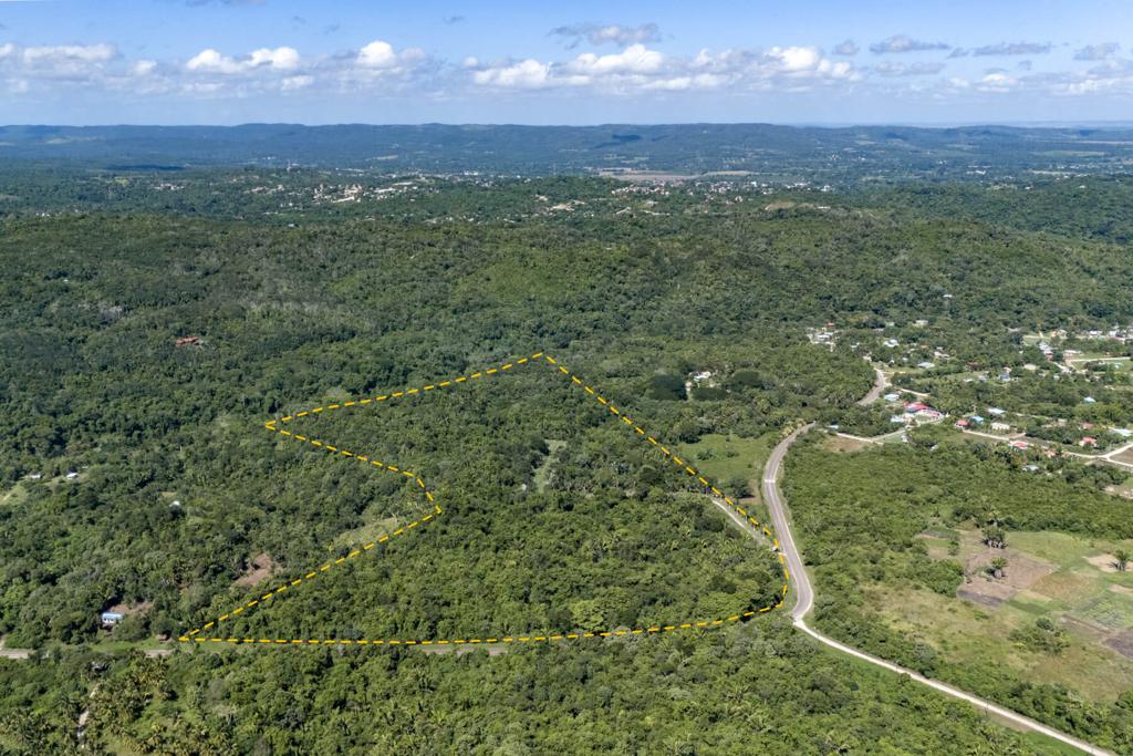 listing image with ID 20019