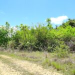 listing image thumbnail with ID 21744