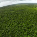 listing image thumbnail with ID 23342