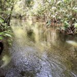 listing image thumbnail with ID 23708