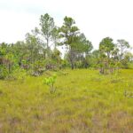 listing image thumbnail with ID 24176