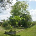 listing image thumbnail with ID 22330