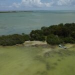 listing image thumbnail with ID 23777